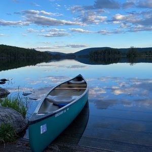 Meet your Posher, Marley